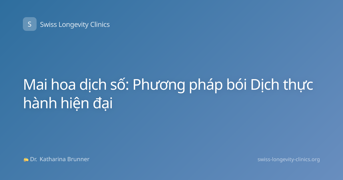 Mai hoa dịch số: Phương pháp bói Dịch thực hành hiện đại